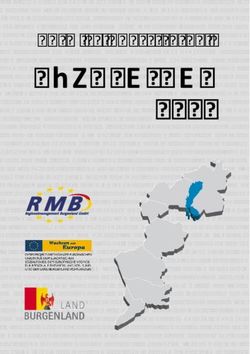 BURGENLAND 2020 Entwicklungsstrategie