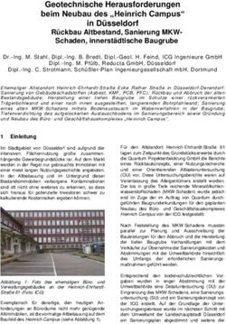 Geotechnische Herausforderungen beim Neubau des "Heinrich Campus" in D&uuml;sseldorf - DGGT