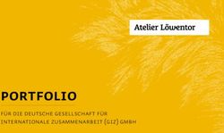 Portfolio für die deutsche gesellschaft für internationale zusammenarbeit (giz) gmbh