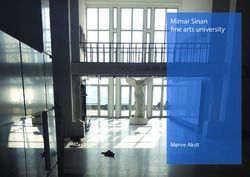 Mimar Sinan fine arts university - Merve Aksit - Hochschule Augsburg