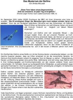 Das Mysterium der Delfine