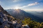 Vtnö news 03/2020 VEREIN FÜR TIER- UND NATURFOTOGRAFIE ÖSTERREICH