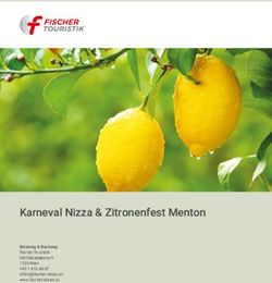 Karneval Nizza & Zitronenfest Menton - Fischer Reisen