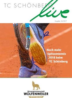 TC SCHÖNBERG - Noch mehr Spitzentennis 2018 beim TC Schönberg