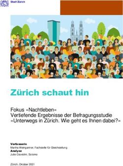 Zürich schaut hin Fokus "Nachtleben" Vertiefende Ergebnisse der Befragungsstudie "Unterwegs in Zürich. Wie geht es Ihnen dabei?"