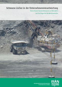 Schwarze Löcher in der Unternehmensverantwortung - Deutschlands Steinkohleimporte aus Kolumbien und die Folgen für die Menschenrechte - FIAN ...