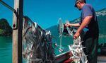 Brienzersee: Ein &Ouml;kosystem unter der Lupe - Resultate des Forschungsprojekts zum R&uuml;ckgang des Planktons und der Felchenertr&auml;ge - WSL