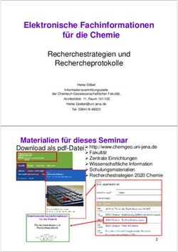Elektronische Fachinformationen f&uuml;r die Chemie - Recherchestrategien und Rechercheprotokolle