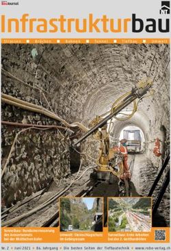 Infrastrukturbau - JST Jungmann ...