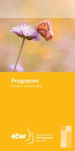 Programm Frühjahr / Sommer 2019 evangelisches - Evang.-Luth. Dekanat Neu-Ulm