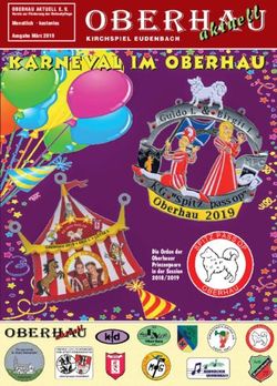 Die Orden der Oberhauer Prinzenpaare in der Session 2018/2019 - OBERHAU AKTUELL E. V. Monatlich kostenlos Ausgabe März 2019