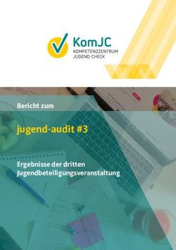 Jugend-audit #3 Bericht zum Ergebnisse der dritten Jugendbeteiligungsveranstaltung