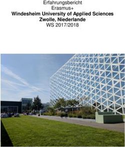 Windesheim University of Applied Sciences Zwolle, Niederlande - Erfahrungsbericht Erasmus+ WS 2017/2018