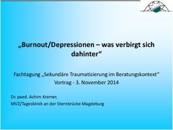 "Burnout/Depressionen - was verbirgt sich dahinter" - Fachtagung "Sekund&auml;re Traumatisierung im Beratungskontext" Vortrag - November 2014