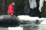 MV Ortelius - Nordspitzbergen Basecamp - Auf Kurs! Inselreisen