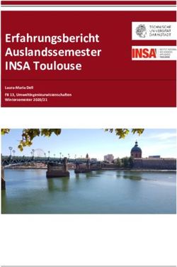 Erfahrungsbericht Auslandssemester INSA Toulouse