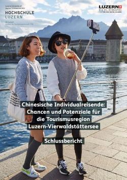 Chinesische Individualreisende: Chancen und Potenziale f&uuml;r die Tourismusregion Luzern-Vierwaldst&auml;ttersee Schlussbericht - Seco