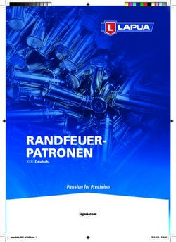 RANDFEUER-PATRONEN 2020 Deutsch - lapua.com