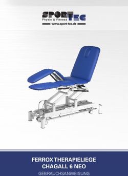 FERROX THERAPIELIEGE CHAGALL 6 NEO - GEBRAUCHSANWEISUNG - Sport-Tec