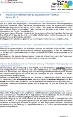 Allgemeine Informationen zu Tagesfamilien Frankfurt Januar 2019