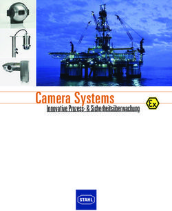 Camera Systems Innovative Prozess- & Sicherheits&uuml;berwachung