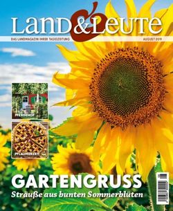 GartenGruSS Str&auml;u&szlig;e aus bunten Sommerbl&uuml;ten - Pferdehof Pflaumenzeit - rtv media solutions
