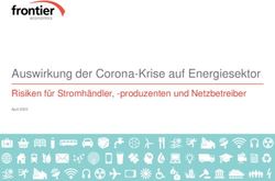 Auswirkung der Corona-Krise auf Energiesektor - Risiken f&uuml;r Stromh&auml;ndler, -produzenten und Netzbetreiber