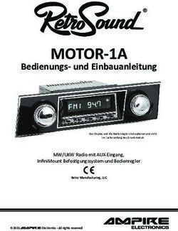 MOTOR-1A Bedienungs- und Einbauanleitung - Ampire