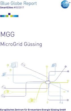 MGG MicroGrid Güssing - Blue Globe Report - Klima- und Energiefonds