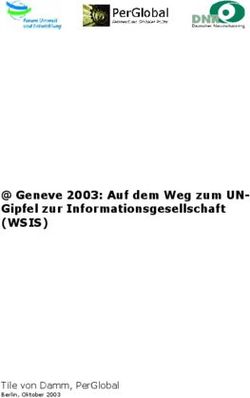 Geneve 2003: Auf dem Weg zum UN- Gipfel zur Informationsgesellschaft - (WSIS) - Tile von Damm, PerGlobal Berlin, Oktober 2003