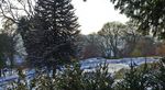Jahres-programm 2019 - Botanischer garten Wuppertal 25 Jahre Verein der Freunde und F&ouml;rderer des Botanischen gartens Wuppertal e.V.