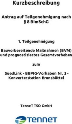 KURZBESCHREIBUNG ANTRAG AUF TEILGENEHMIGUNG NACH 8 BIMSCHG 1. TEILGENEHMIGUNG BAUVORBEREITENDE MAßNAHMEN (BVM) UND PROGNOSTIZIERTES ...