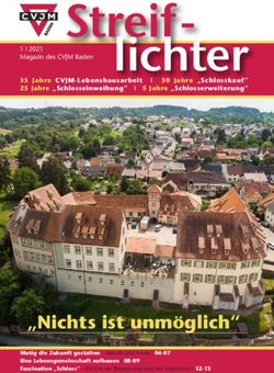 Streif-lichter - CVJM Baden