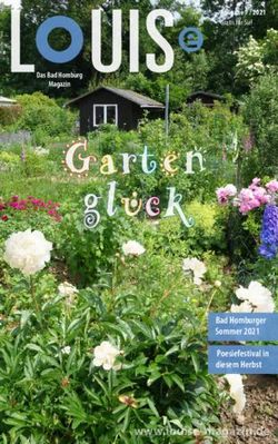 www.louise-magazin.de - Bad Homburger Sommer 2021 Poesiefestival in diesem Herbst - LOUISe Magazin