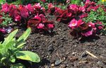 KESSELSAND IM GARTEN- UND LANDSCHAFTSBAU