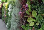 KESSELSAND IM GARTEN- UND LANDSCHAFTSBAU