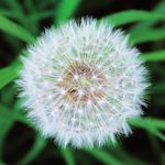 Mit Fortbildung am Ball bleiben - September 2020 - Juli 2021