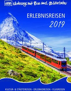2019 ERLEBNISREISEN - KULTUR- & STÄDTEREISEN ERLEBNISREISEN FLUGREISEN - UBB