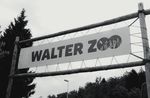 Gelungener Seniorenausflug in den Zoo - Gemeinde Zuzwil