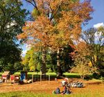 HAUSPOST - SWD D&uuml;sseldorf