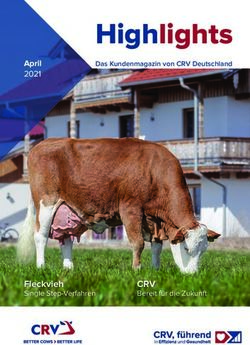 Highlights - CRV Bereit für die Zukunft