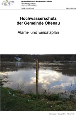 Hochwasserschutz der Gemeinde Offenau - Alarm- und Einsatzplan