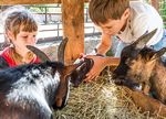 DAS PROGRAMM 2019 SOMMERFREIZEITEN - im Rheingau-Taunus-Kreis