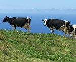 DAS PROGRAMM 2019 SOMMERFREIZEITEN - im Rheingau-Taunus-Kreis