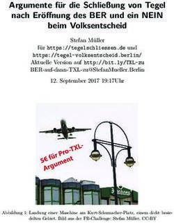 Argumente für die Schließung von Tegel nach Eröffnung des BER und ein NEIN beim Volksentscheid