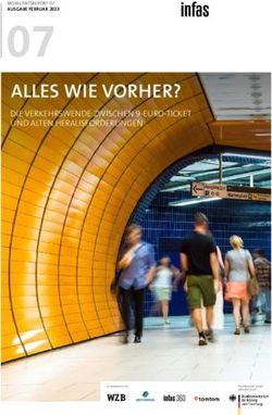 ALLES WIE VORHER? - WZB - Bonn
