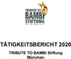 TÄTIGKEITSBERICHT 2020 - TRIBUTE TO BAMBI Stiftung München