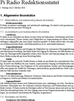 Pi Radio Redaktionsstatut
