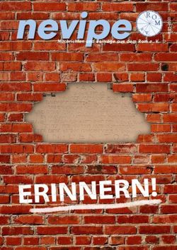 NevipeNachrichten und Beiträge aus dem Rom e. V.