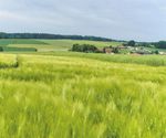 Falkenberg Malgersdorf - Amtliches und Aktuelles aus der Verwaltung und den Gemeinden - Verwaltungsgemeinschaft ...